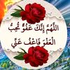 user40599024215703