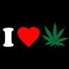 your_loval_idiot1527