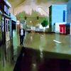 rodney_2700