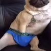 iramcito.papu