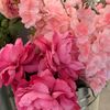 sondos_urlover1