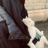 fa_tiima05