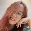 nyy1501
