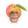 lamgay_2610