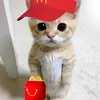 raekaaaaaaaaaaaaaaaaa