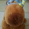 capybaralovercapyoel