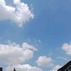 blueesoftttt