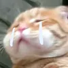 nnnni553