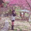 user82031650141485