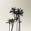 liiw636
