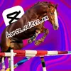 horse_editss_xx