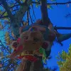 eli_10100101
