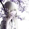 nnvv_o3