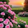 harsha.kumara236