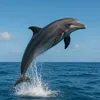 noonehwowixbwnam