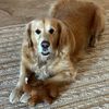 marty_2728