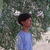 aungkyawoo6201