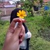 wongtulus140900