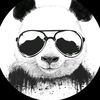 reddit68779