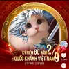 ynhong8288