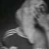 ashuferu1