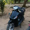 mioirengg