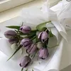 aliah_lia0