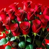zarakiyani7857
