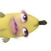 joljityydermanhmes