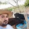 reinaldosilva5790
