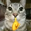 qq_sosun_pp