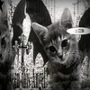 adele_nevim123