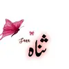 bukhari_syed_313