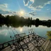 c0rne_carp