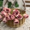 samia_ab84