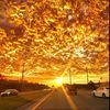 noah_backup16