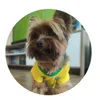 www.tiktok.comlaurinhaxd