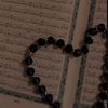 lama_7xx