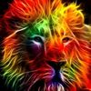 KING.MIX.365