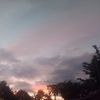 francisco_79106