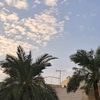 lam_3453