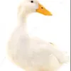 tobiasss613