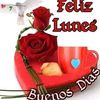 liliana.diaz3146