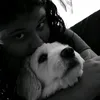 inspsousa