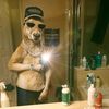 user2401061061427