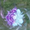 lucy.huong200