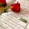 user8817879635184