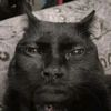 mazen.tamer53