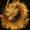 user6619521280474