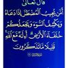 user8000383279009